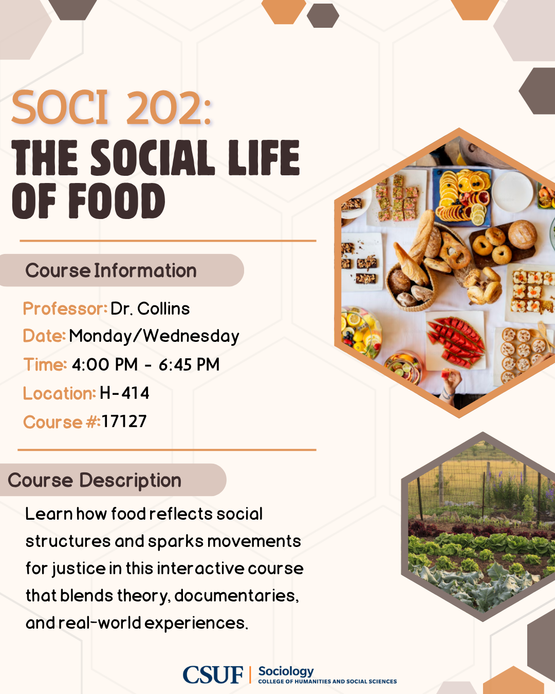 SOCI 202