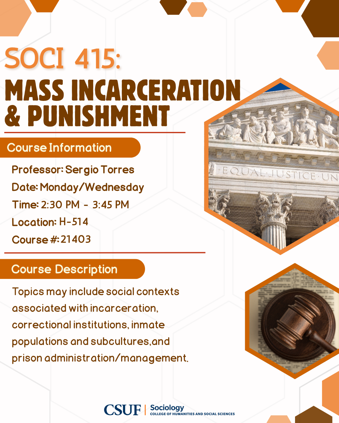 SOCI 415