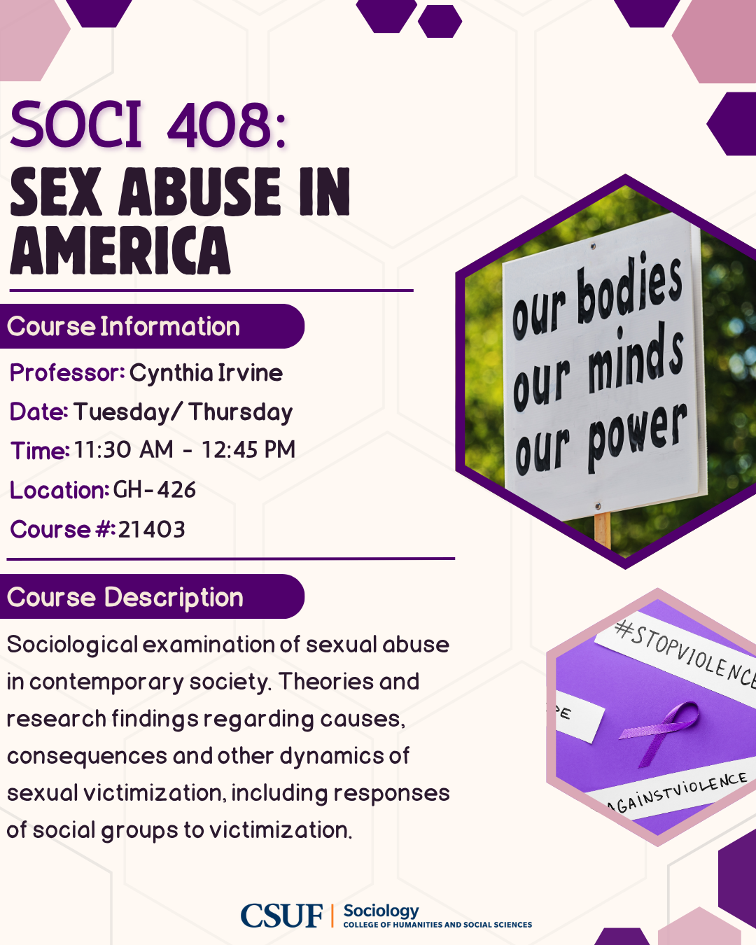 SOCI 408